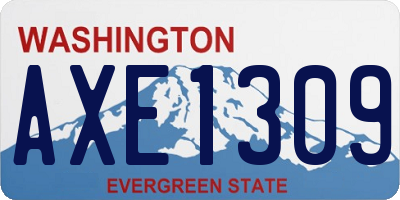 WA license plate AXE1309