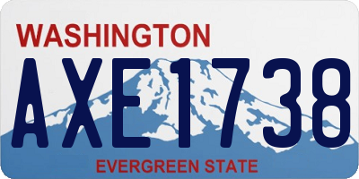 WA license plate AXE1738