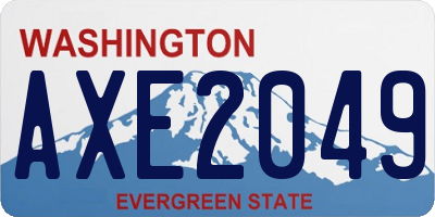 WA license plate AXE2049