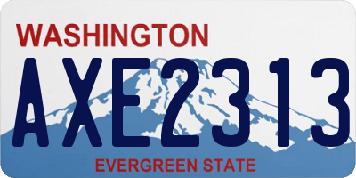 WA license plate AXE2313