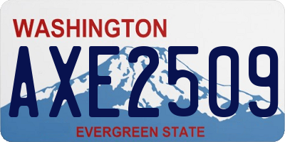 WA license plate AXE2509
