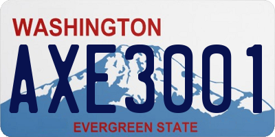 WA license plate AXE3001