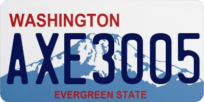 WA license plate AXE3005