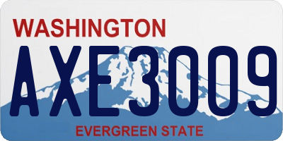 WA license plate AXE3009