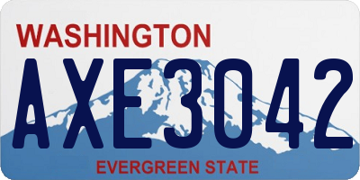 WA license plate AXE3042