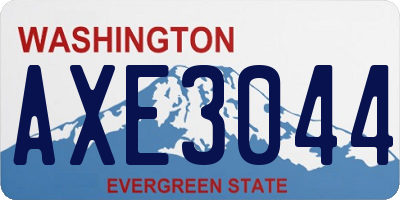 WA license plate AXE3044
