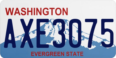 WA license plate AXE3075