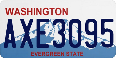 WA license plate AXE3095