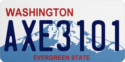 WA license plate AXE3101