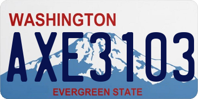 WA license plate AXE3103
