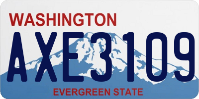WA license plate AXE3109
