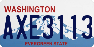 WA license plate AXE3113