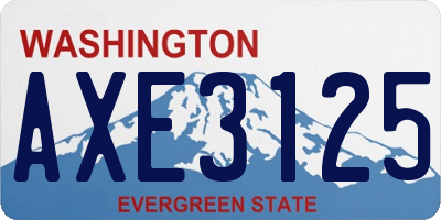 WA license plate AXE3125