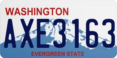 WA license plate AXE3163