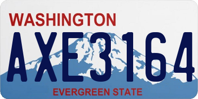 WA license plate AXE3164