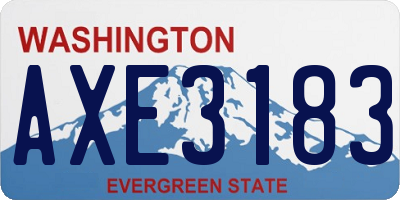 WA license plate AXE3183