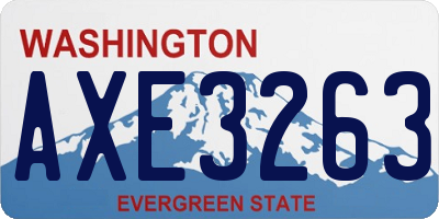 WA license plate AXE3263
