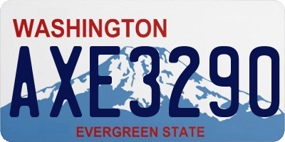 WA license plate AXE3290