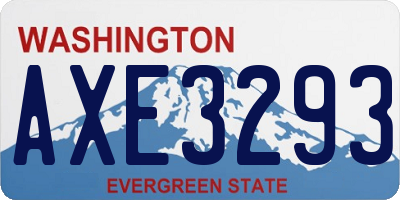 WA license plate AXE3293