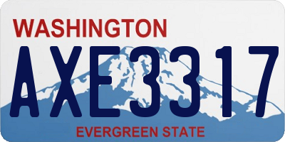 WA license plate AXE3317