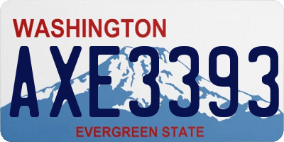 WA license plate AXE3393