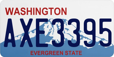 WA license plate AXE3395