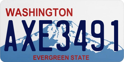 WA license plate AXE3491