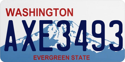 WA license plate AXE3493