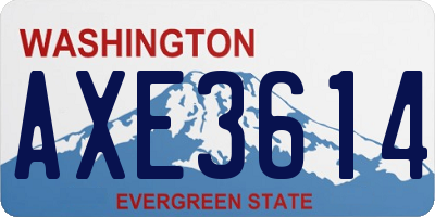 WA license plate AXE3614