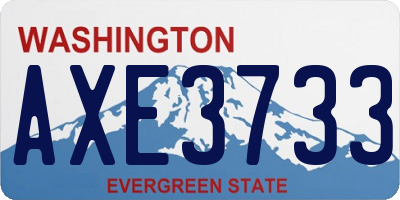 WA license plate AXE3733