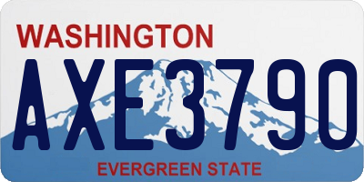WA license plate AXE3790