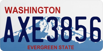 WA license plate AXE3856