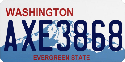 WA license plate AXE3868