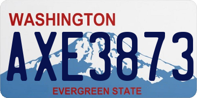 WA license plate AXE3873
