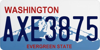 WA license plate AXE3875