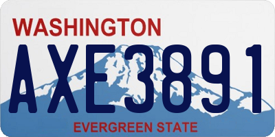 WA license plate AXE3891