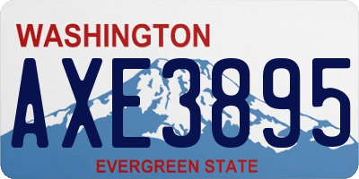WA license plate AXE3895
