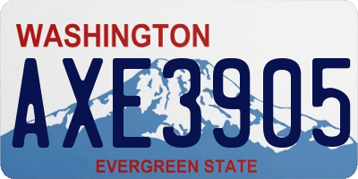 WA license plate AXE3905