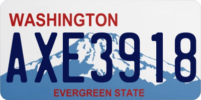 WA license plate AXE3918