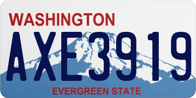 WA license plate AXE3919