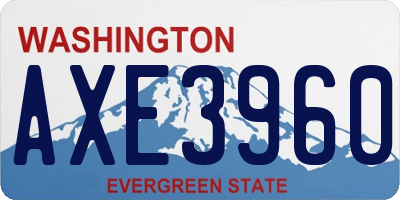 WA license plate AXE3960