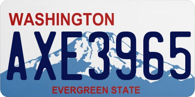 WA license plate AXE3965