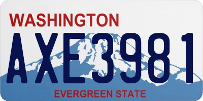 WA license plate AXE3981