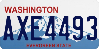 WA license plate AXE4493