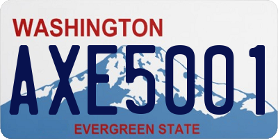 WA license plate AXE5001