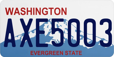 WA license plate AXE5003