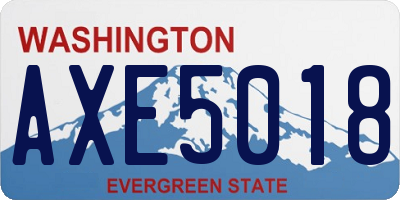 WA license plate AXE5018