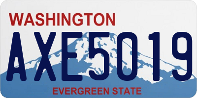 WA license plate AXE5019