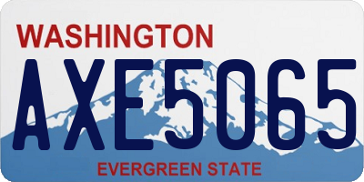 WA license plate AXE5065