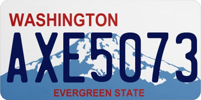 WA license plate AXE5073